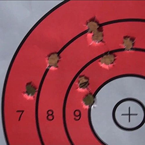 EZ2C Targets #12: Paper Shooting Targets for B16 11"x17" USA MADE