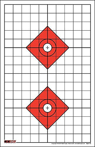 200 EZ2C Targets 8 Rifle Styles Package Paper Shooting Targets for Range 11”x17” USA MADE